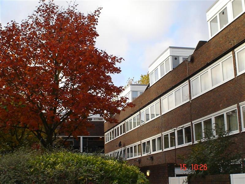Blenheim Court, Islington